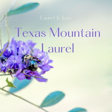 Load image into Gallery viewer, Texas Spring 2025 Limited Release
